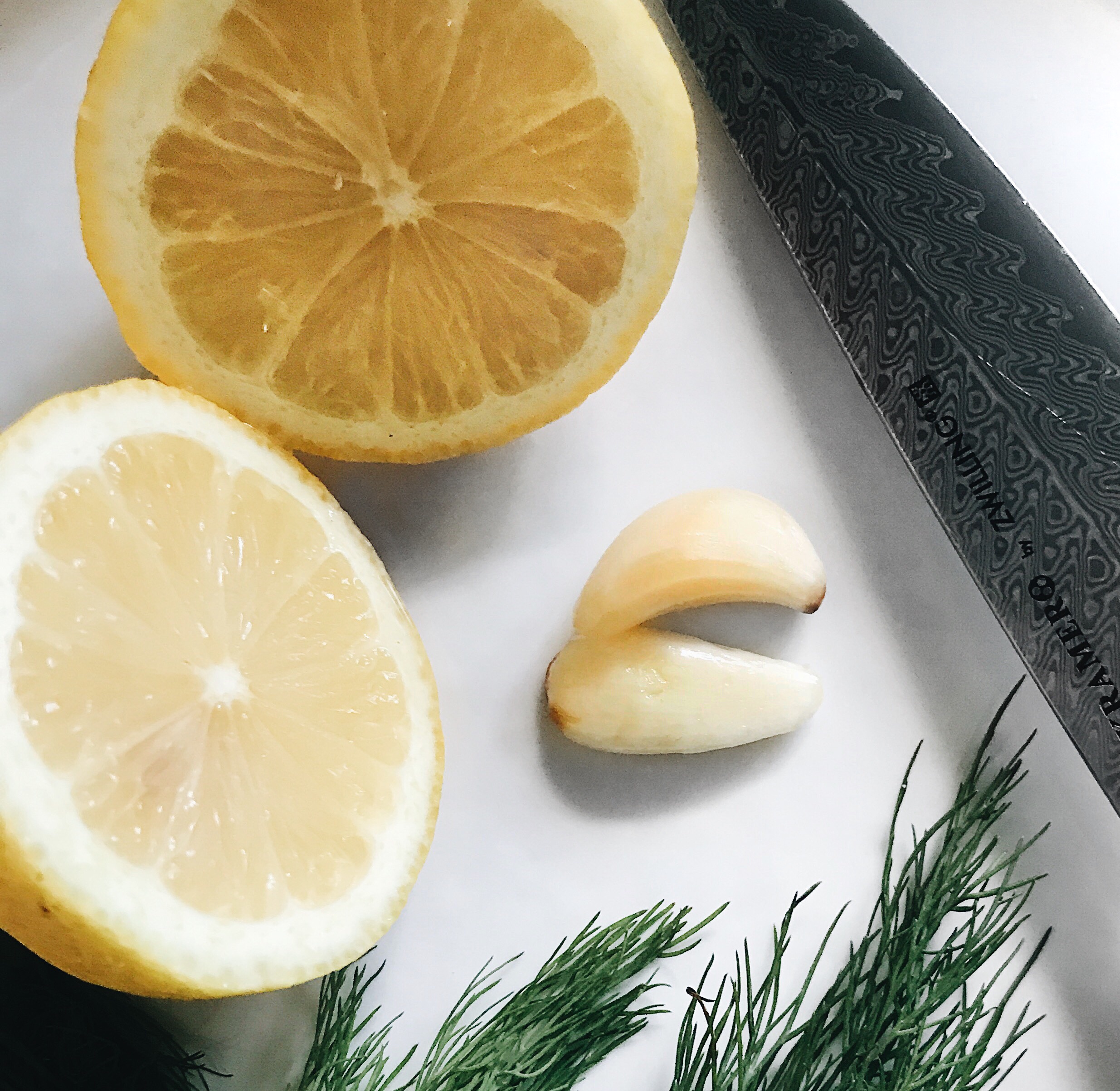 Lemon, dill and garlic on white