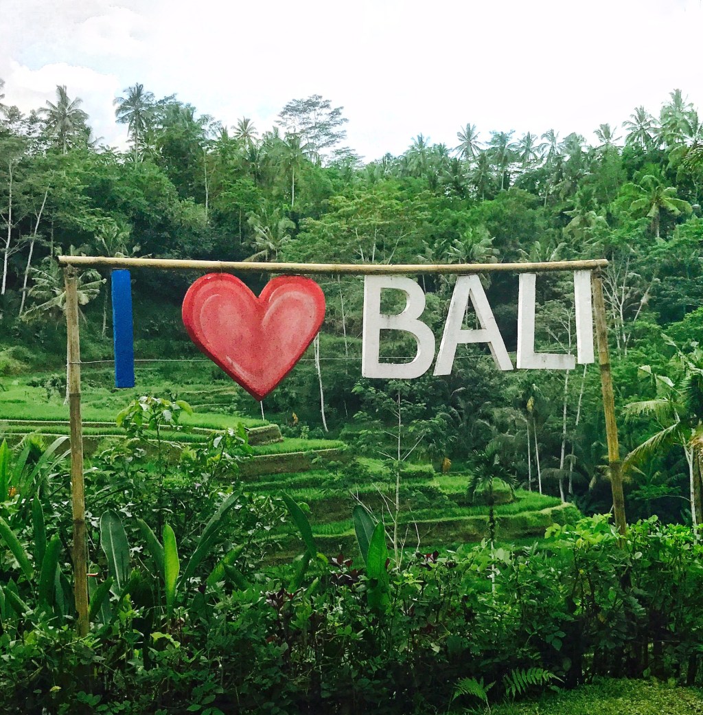 Bali Travel Guide: Ubud and&nbsp;Seminyak