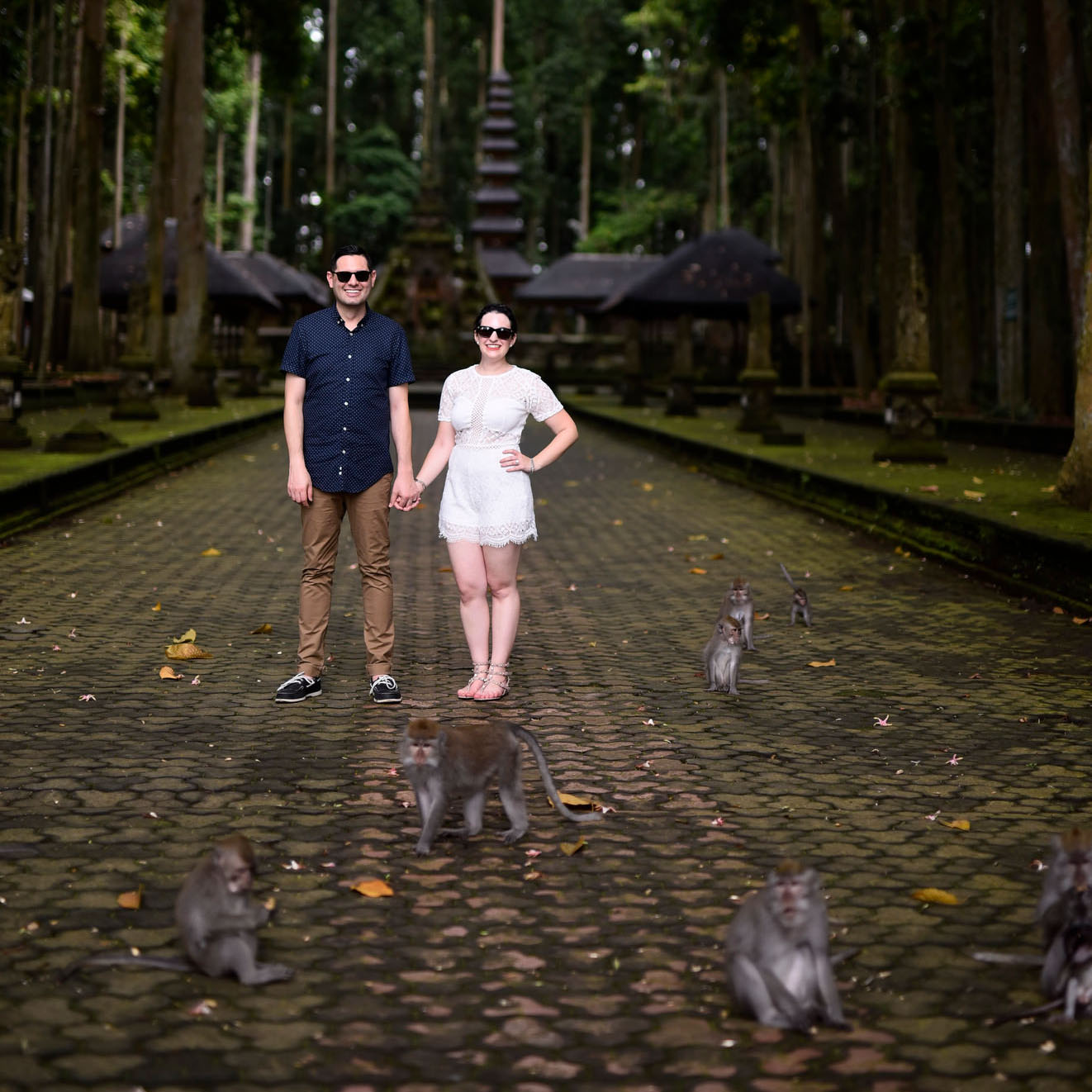 Sangeh Monkey Forest in Bali