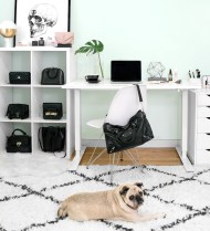 Becca Risa Luna Home Office Fashion Pug