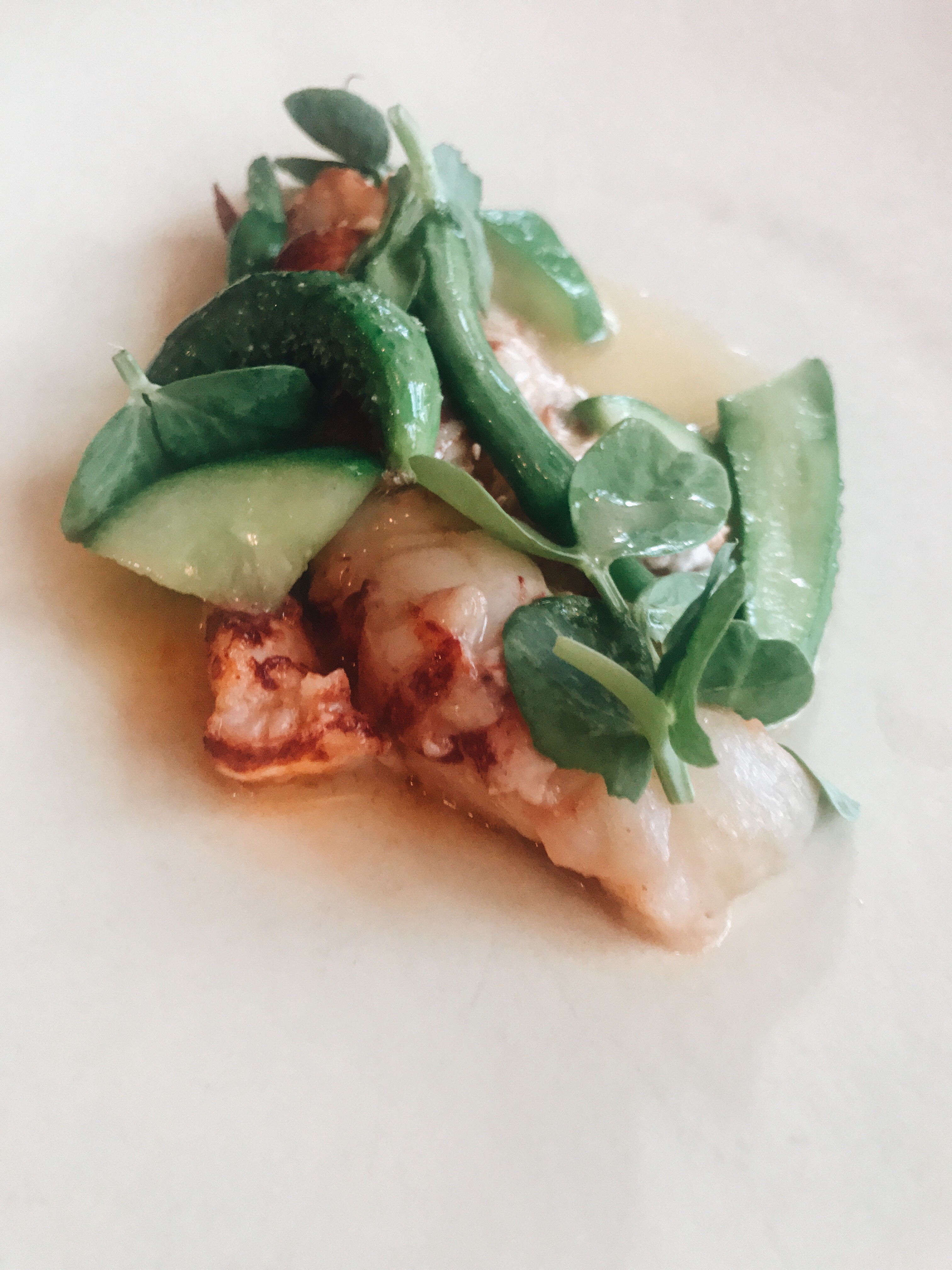 Septime restaurant review | French lobster and green vegetables in white wine