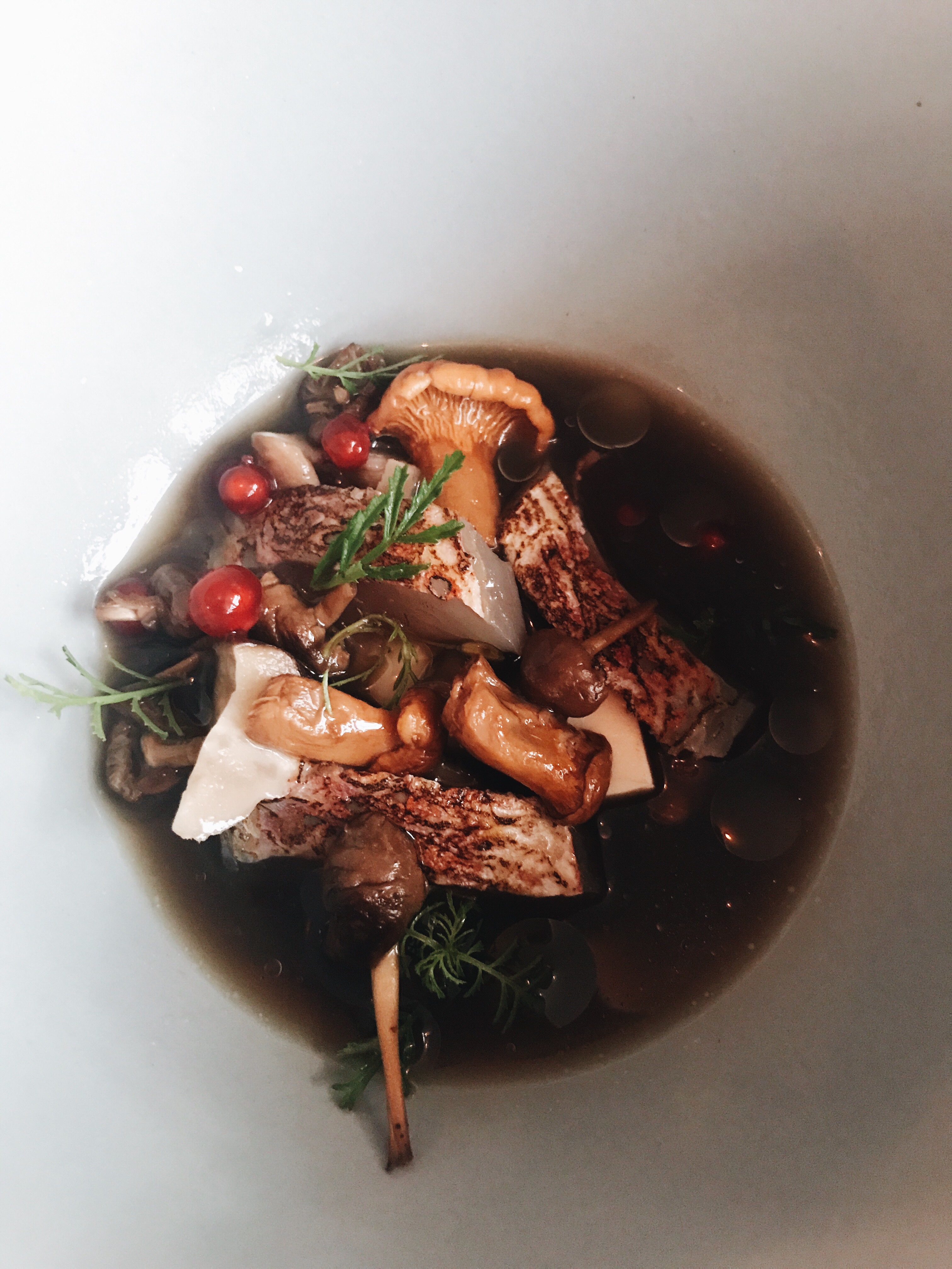 Septime restaurant review | Chilled mushroom broth 