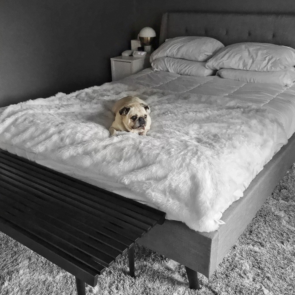 Isn’t Mattress Shopping The&nbsp;Worst?